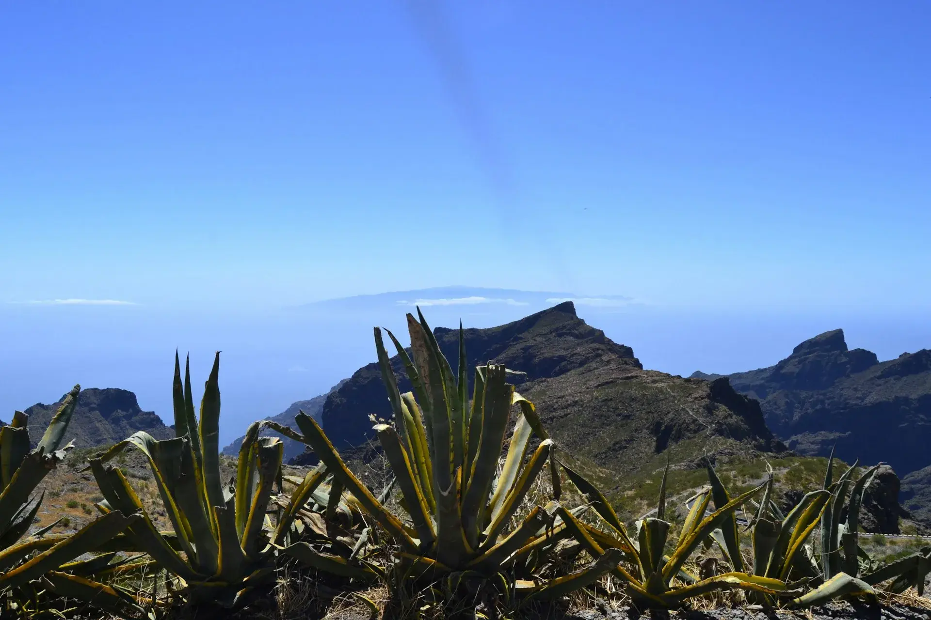 Vista desde un mirador sobre las montañas escarpadas de Tenerife, con pitas en primer plano y el mar al fondo