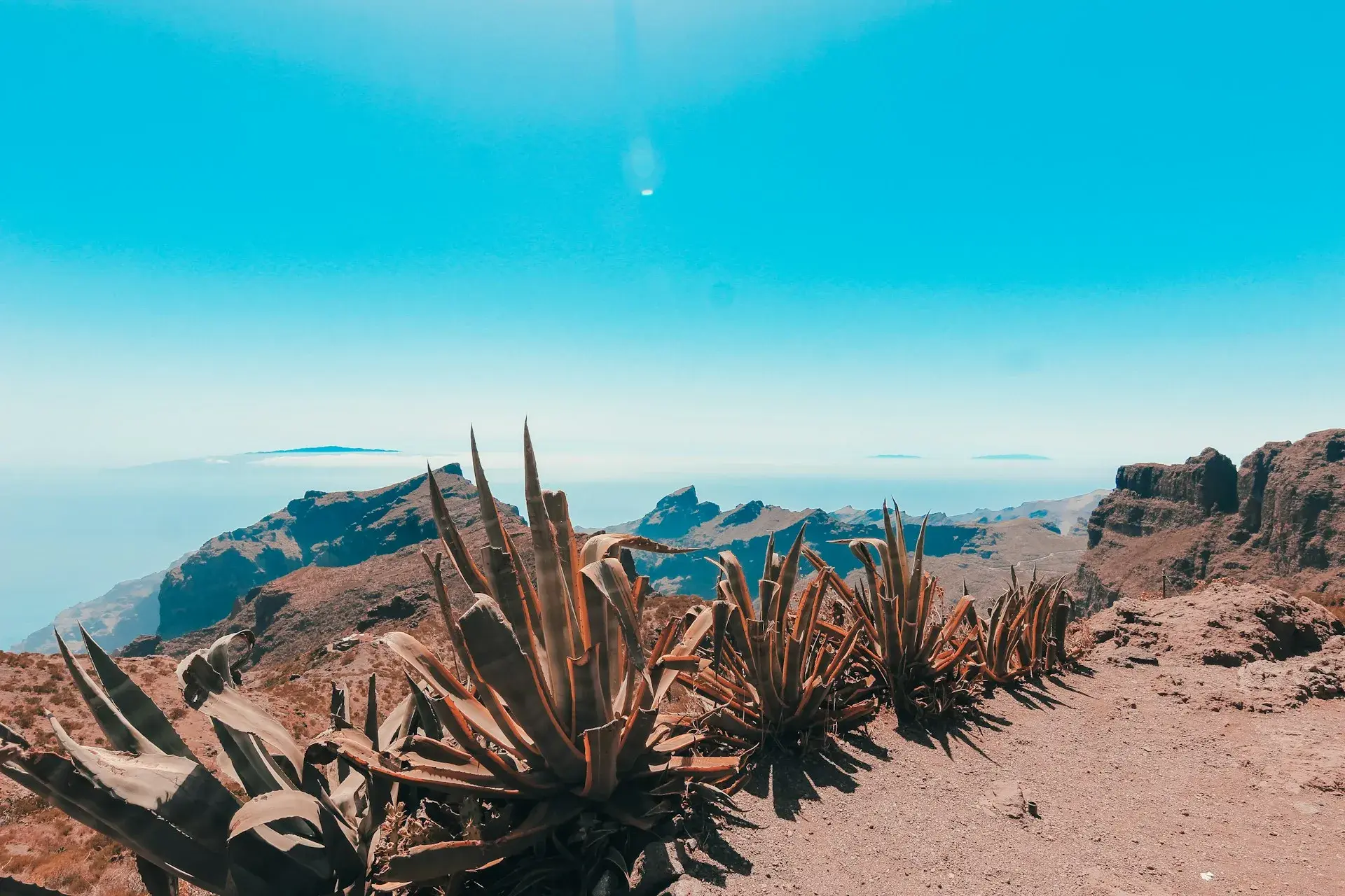 Paisaje volcánico rojizo con pitas en un rincón poco transitado de Tenerife, con montañas y mar al fondo