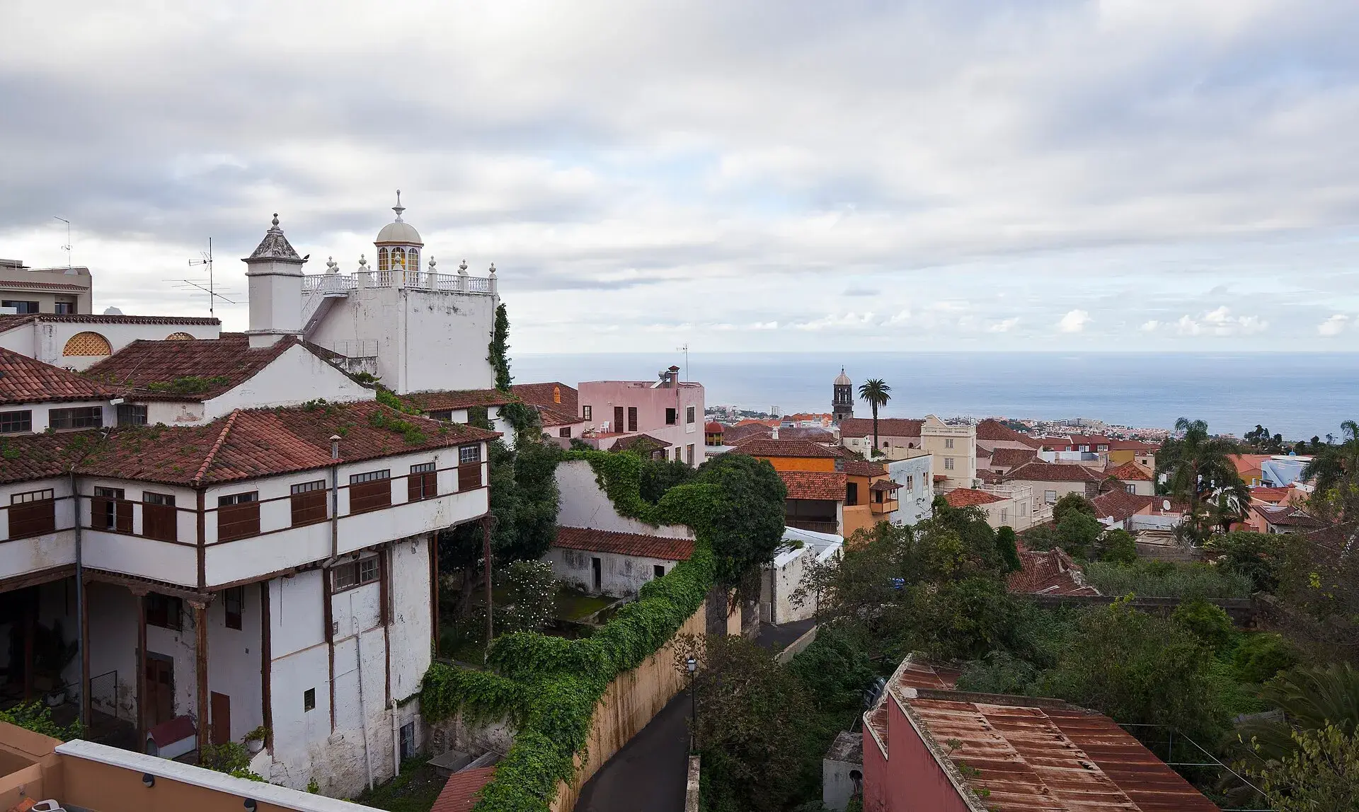 Dächer und weiße Herrenhäuser der Altstadt von La Orotava am Hang, mit Kirchturm, Palmen und dem Meer im Hintergrund