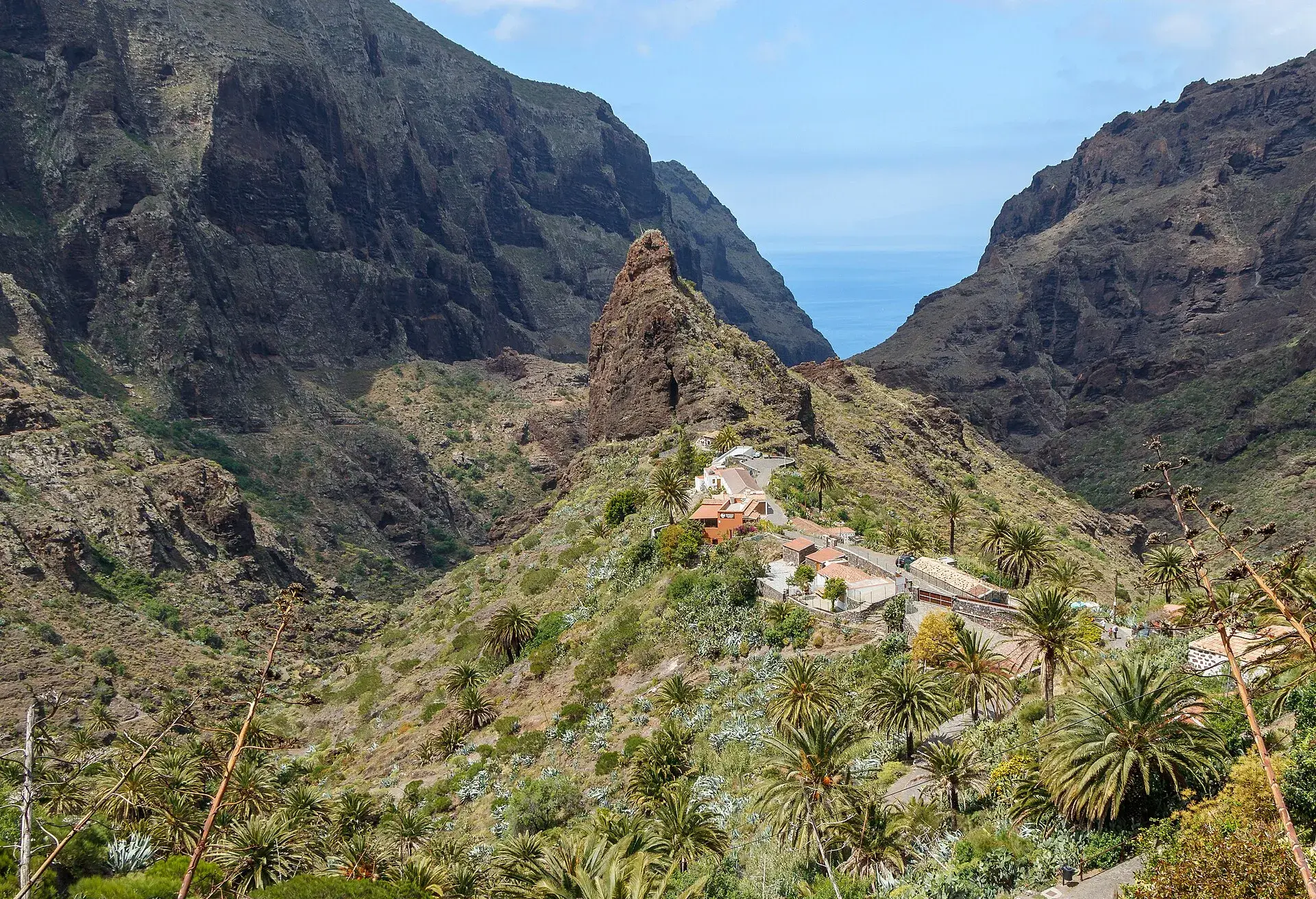 Caserío de Masca sobre crestas volcánicas y palmeras, con el barranco abriéndose hacia el mar en el macizo de Teno