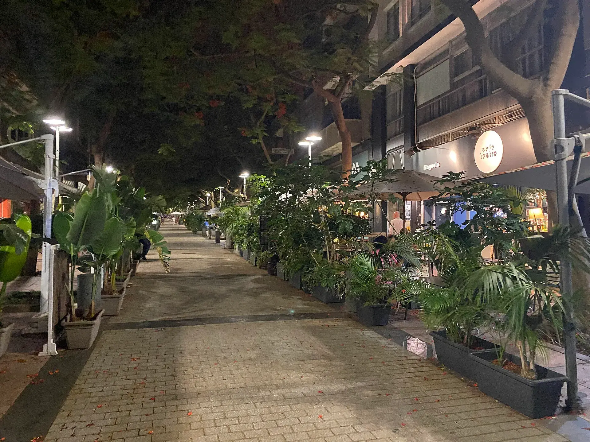 Pedestrian street in central Santa Cruz de Tenerife at night, with lit-up terraces and planters