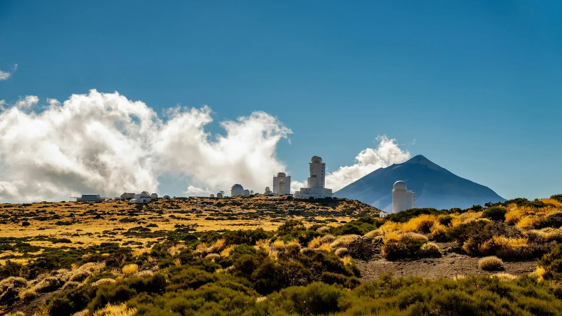 gastronomische Tour in Santa Cruz de Tenerife