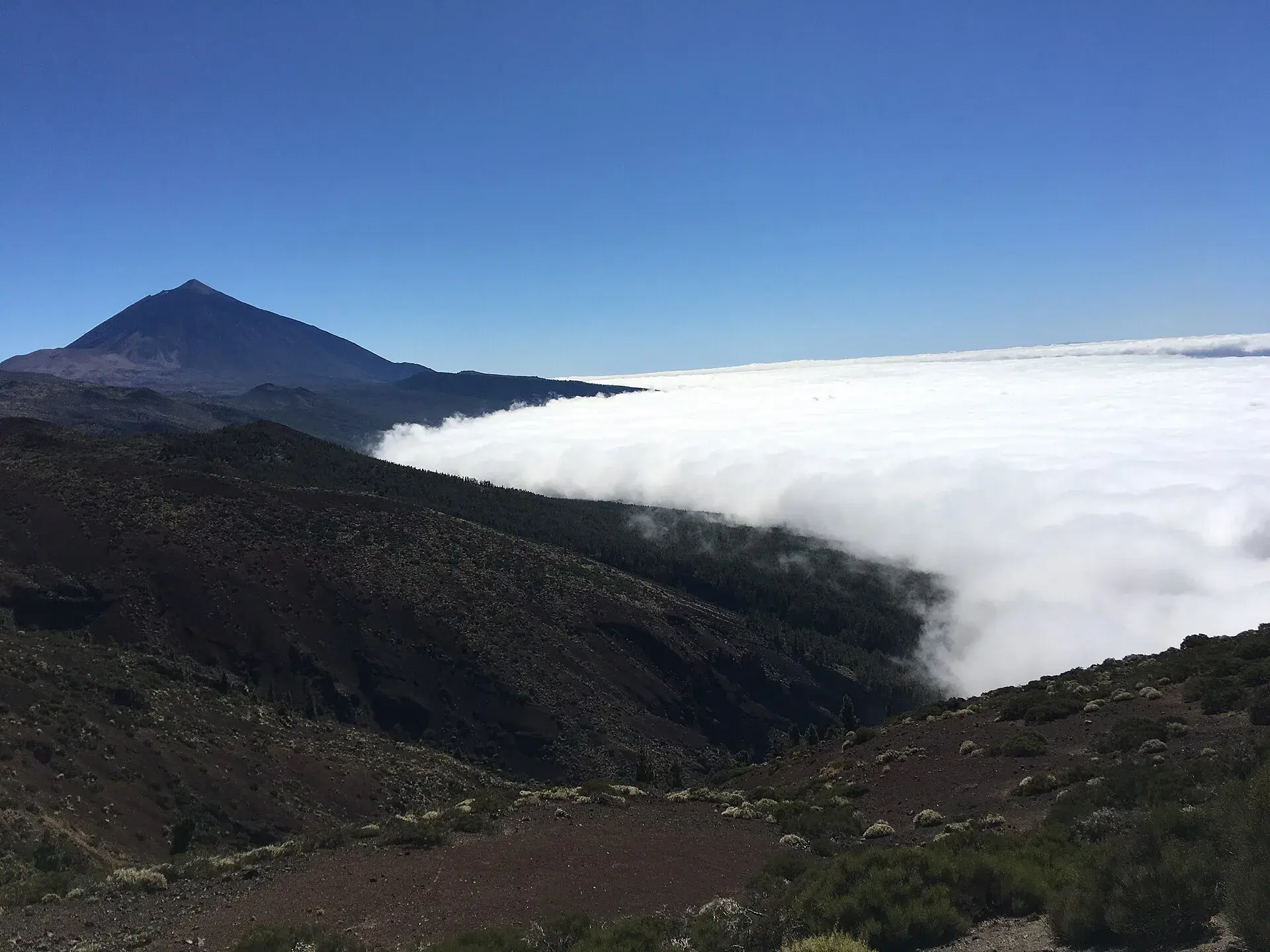 Mar de nubes sobre las laderas del norte de Tenerife con el Teide despejado al fondo