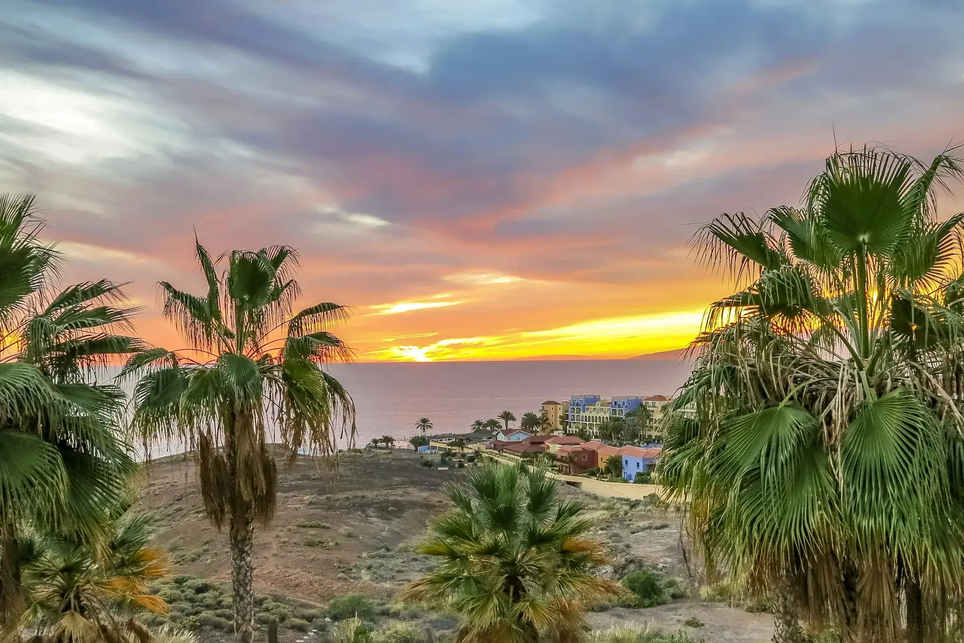 Atardecer entre palmeras sobre una urbanización costera del sur de Tenerife